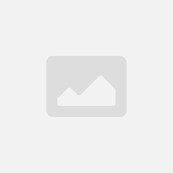 1055-55 RHP Normal duty bearing insert - Metric