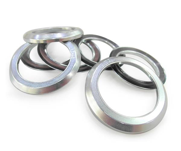 RB80X105X5.5 RB Gamma Stefa seal