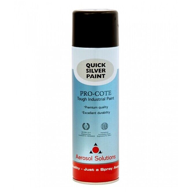 SPRAY QUICK SILVER 830 Generic